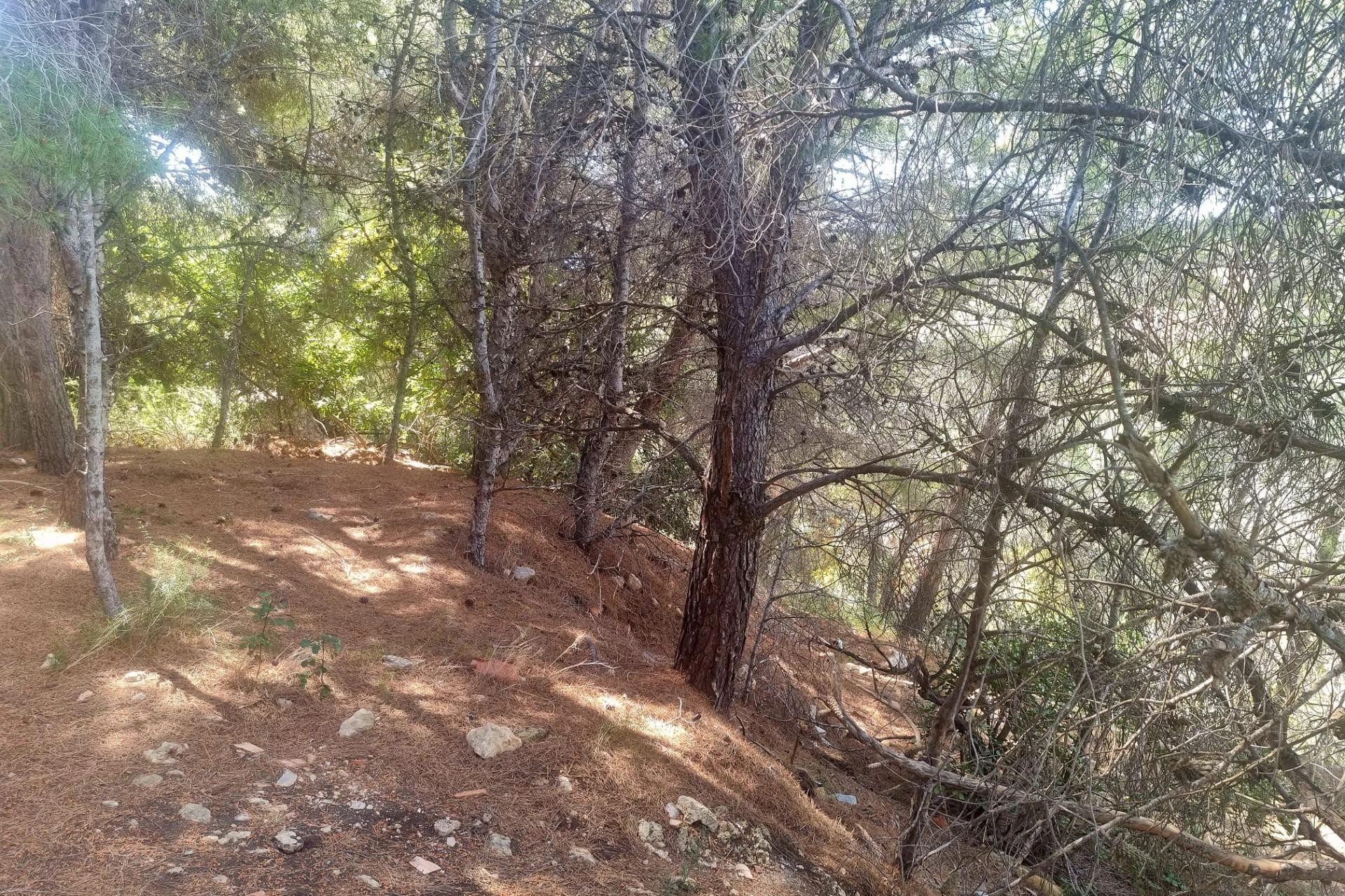 Zu verkaufen - Grundstück/Land -
Altea - Galera de las palmeras