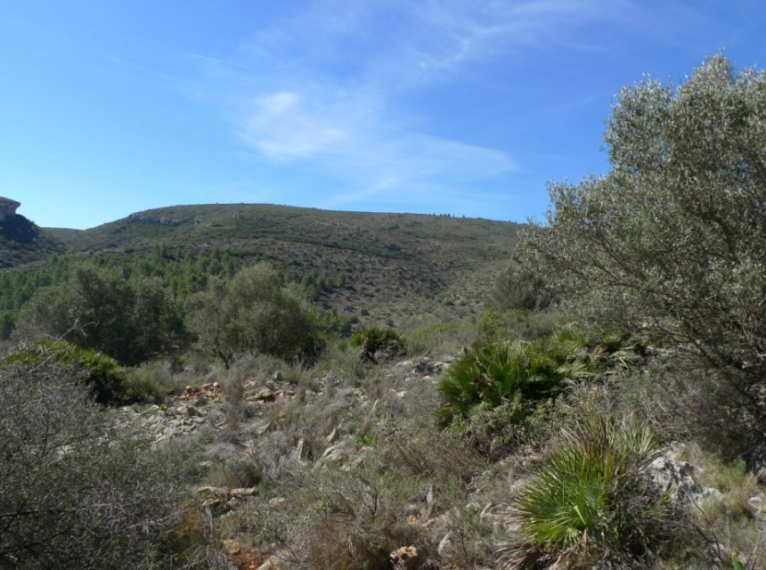 Zu verkaufen - Grundstück/Land -
Benigembla