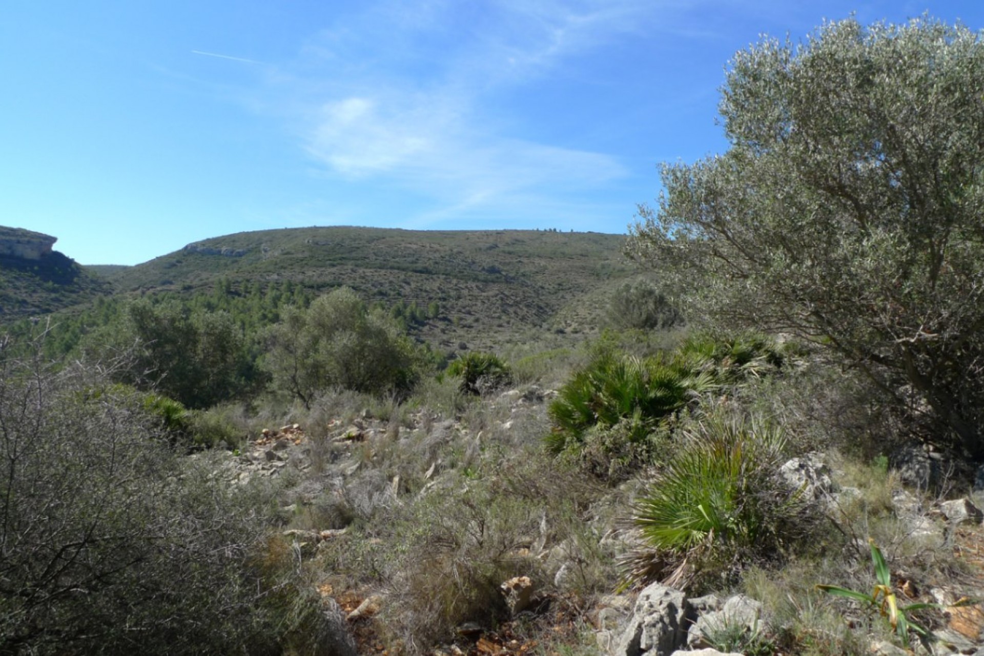 Zu verkaufen - Grundstück/Land -
Benigembla