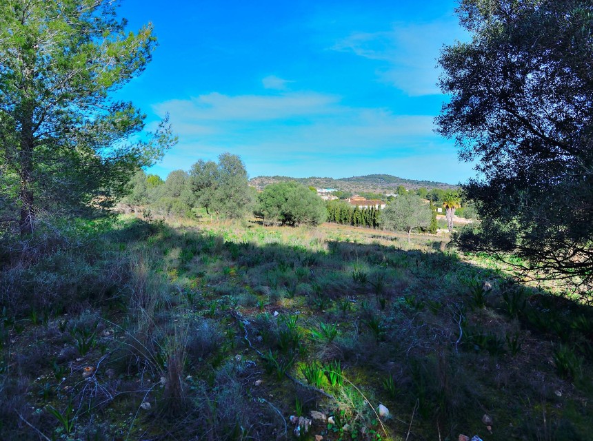 Zu verkaufen - Grundstück/Land -
Benissa - Rural