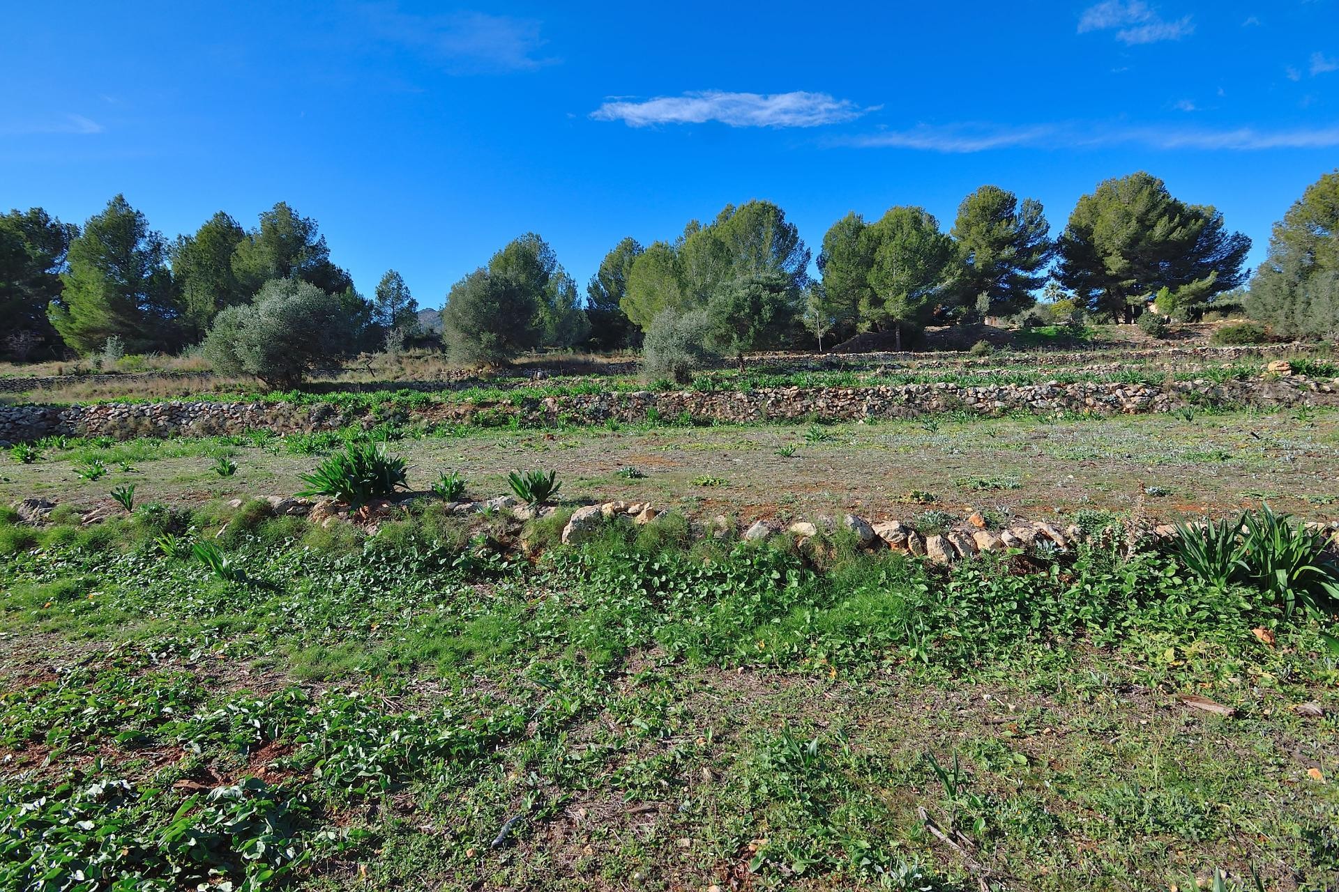 Zu verkaufen - Grundstück/Land -
Benissa - Rural