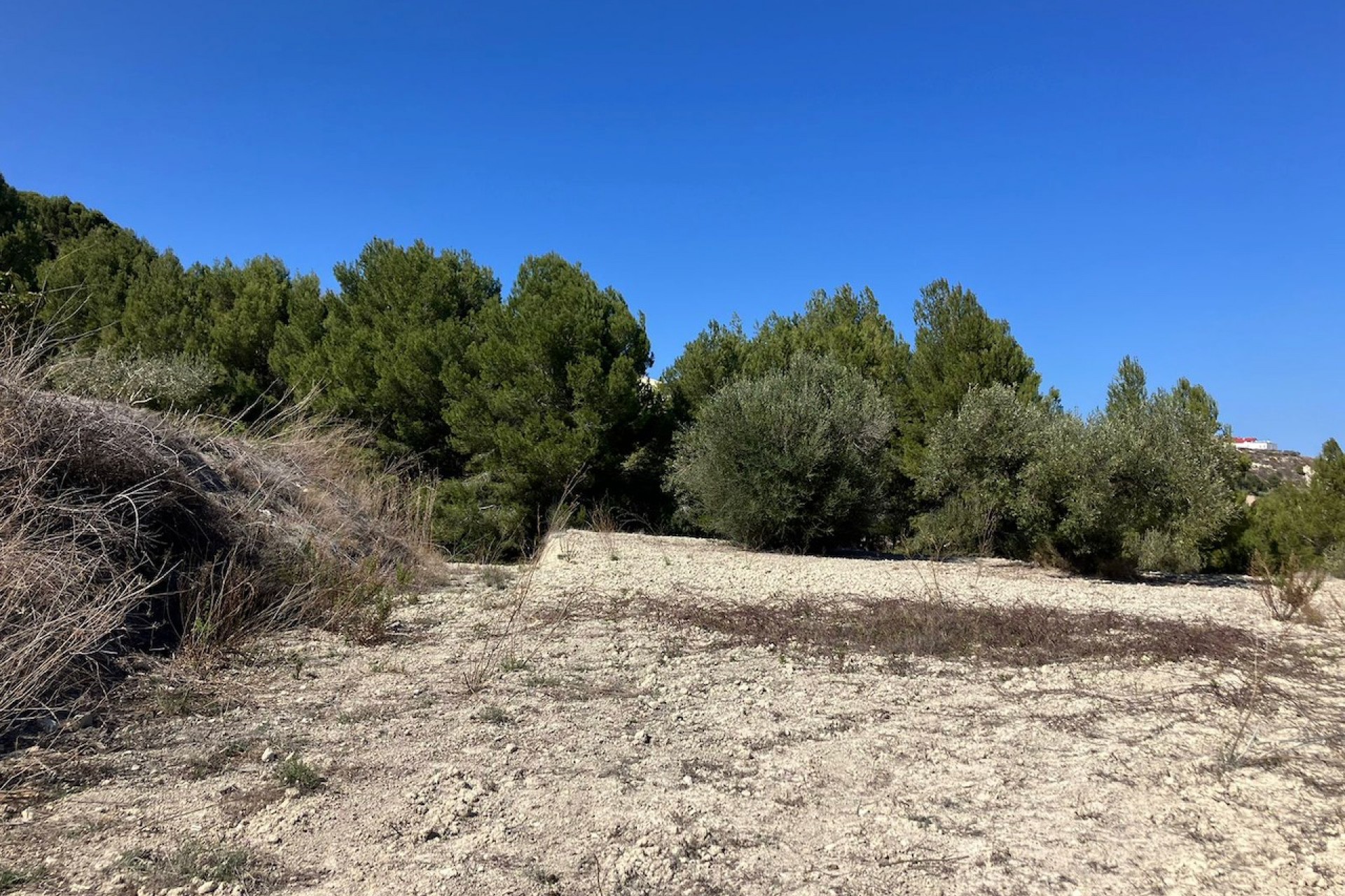 Zu verkaufen - Grundstück/Land -
Benissa