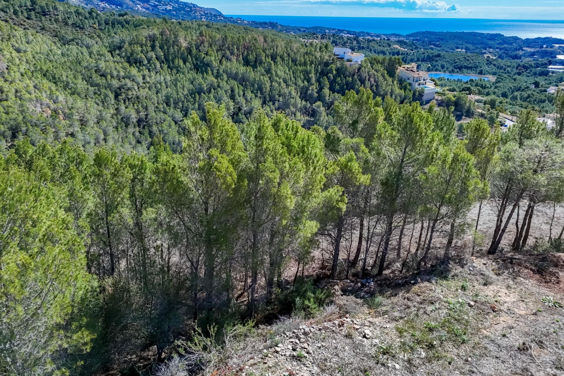 Zu verkaufen - Grundstück/Land -
Callosa d'en Sarrià - Santa clara