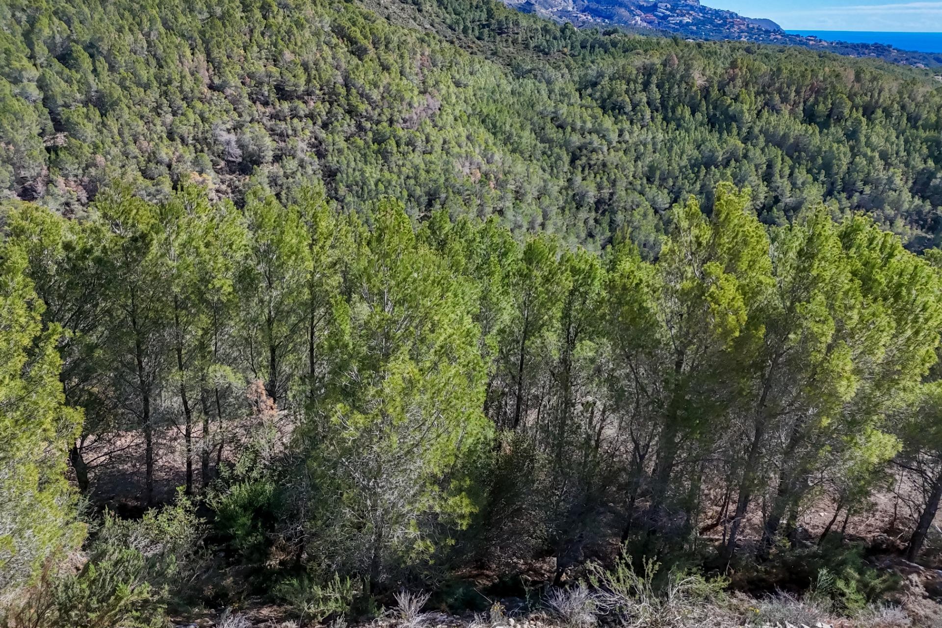 Zu verkaufen - Grundstück/Land -
Callosa d'en Sarrià - Santa clara
