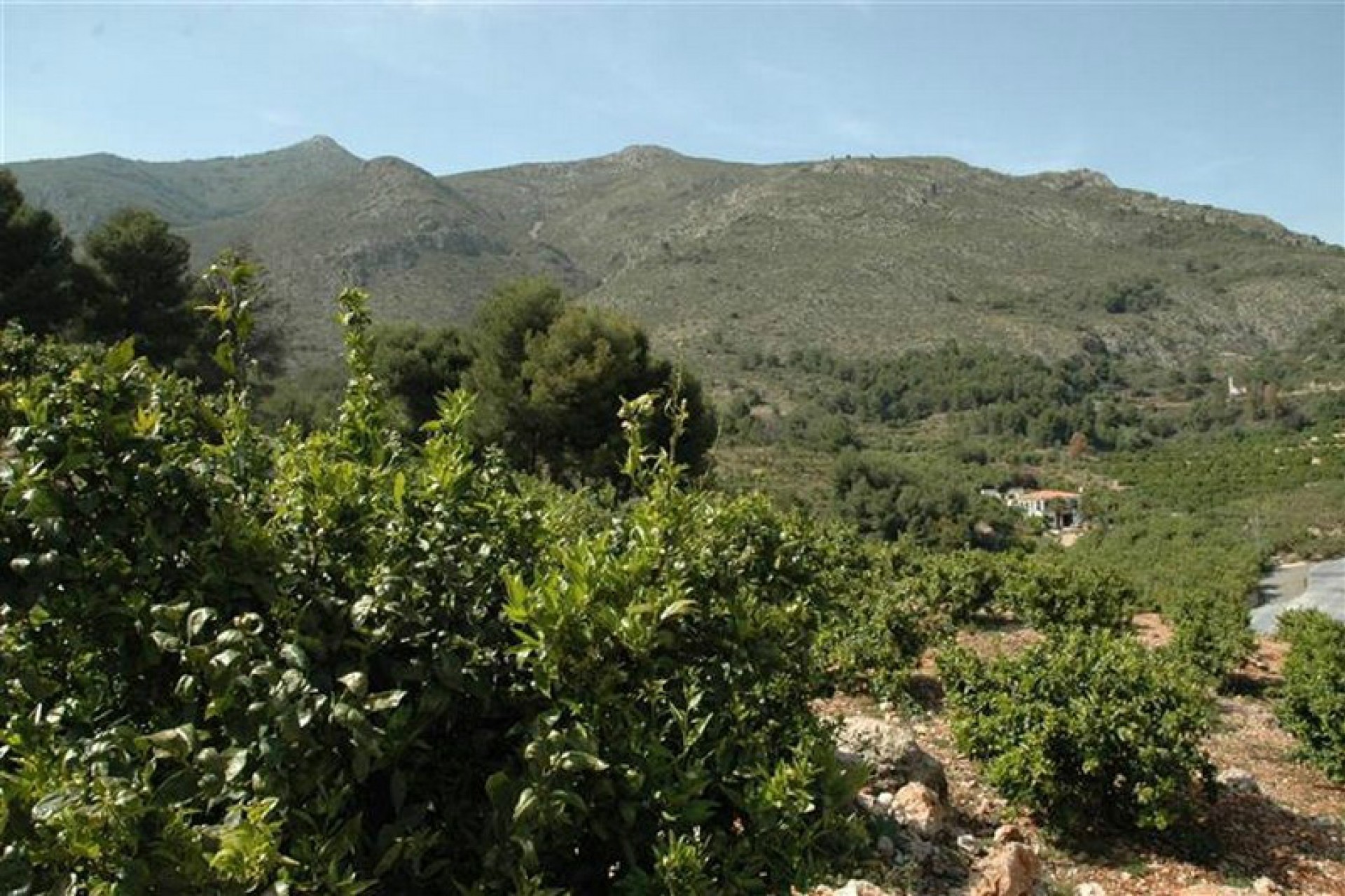 Zu verkaufen - Grundstück/Land -
Callosa