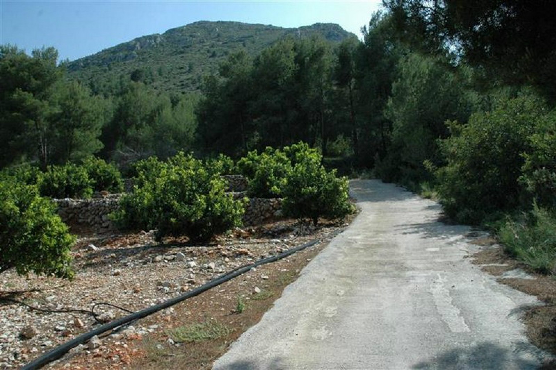 Zu verkaufen - Grundstück/Land -
Callosa