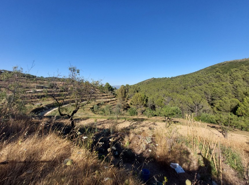 Zu verkaufen - Grundstück/Land -
Jalon