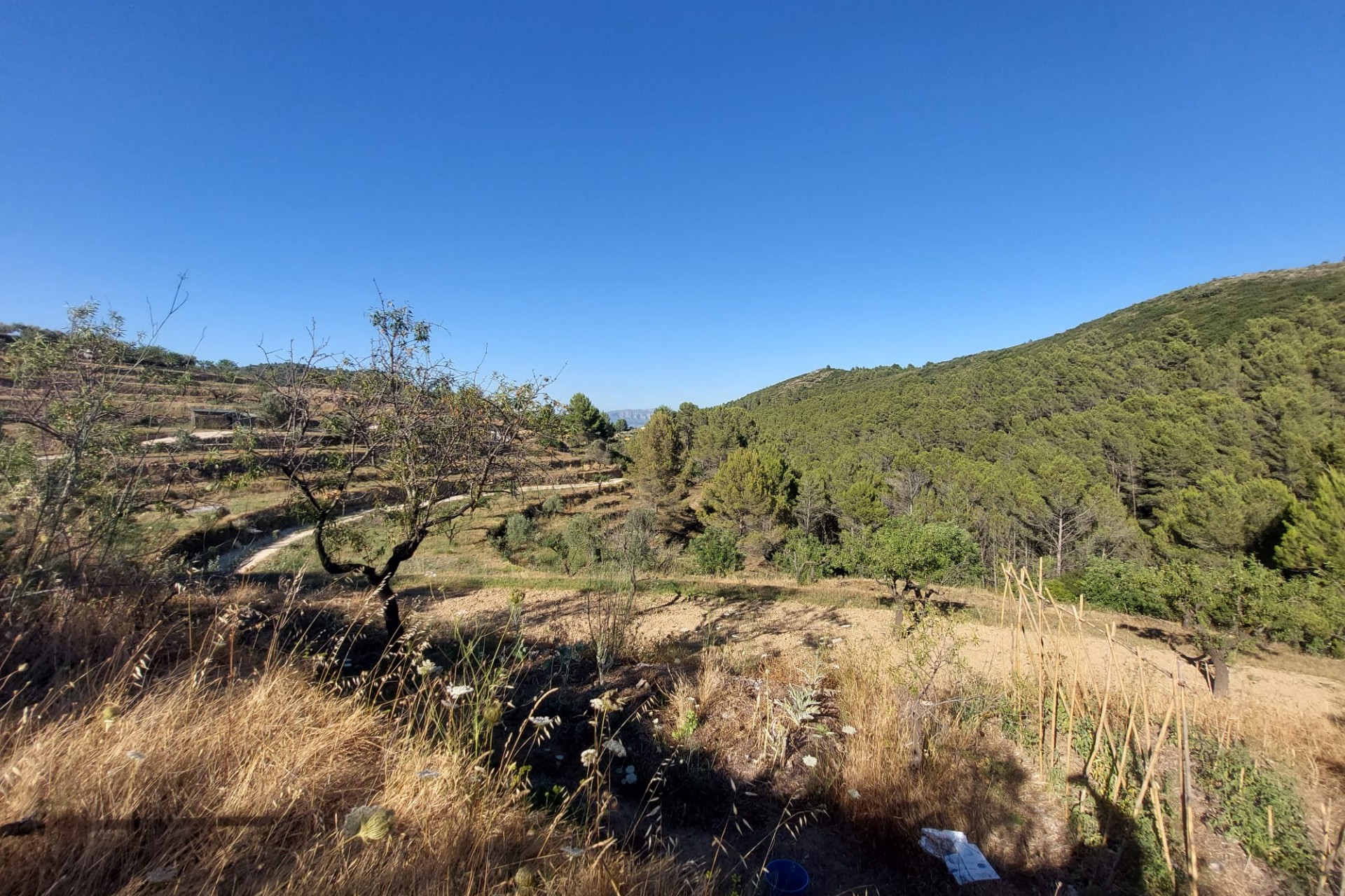 Zu verkaufen - Grundstück/Land -
Jalon