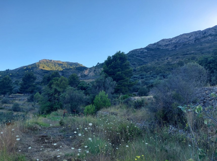 Zu verkaufen - Grundstück/Land -
Jalon