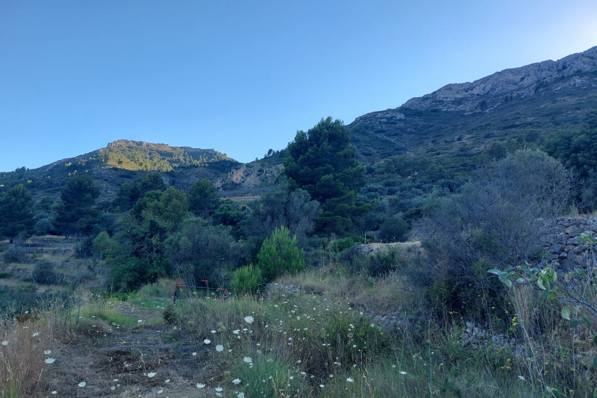 Zu verkaufen - Grundstück/Land -
Jalon