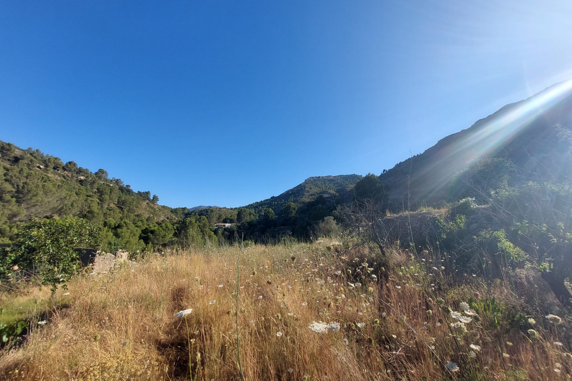 Zu verkaufen - Grundstück/Land -
Jalon