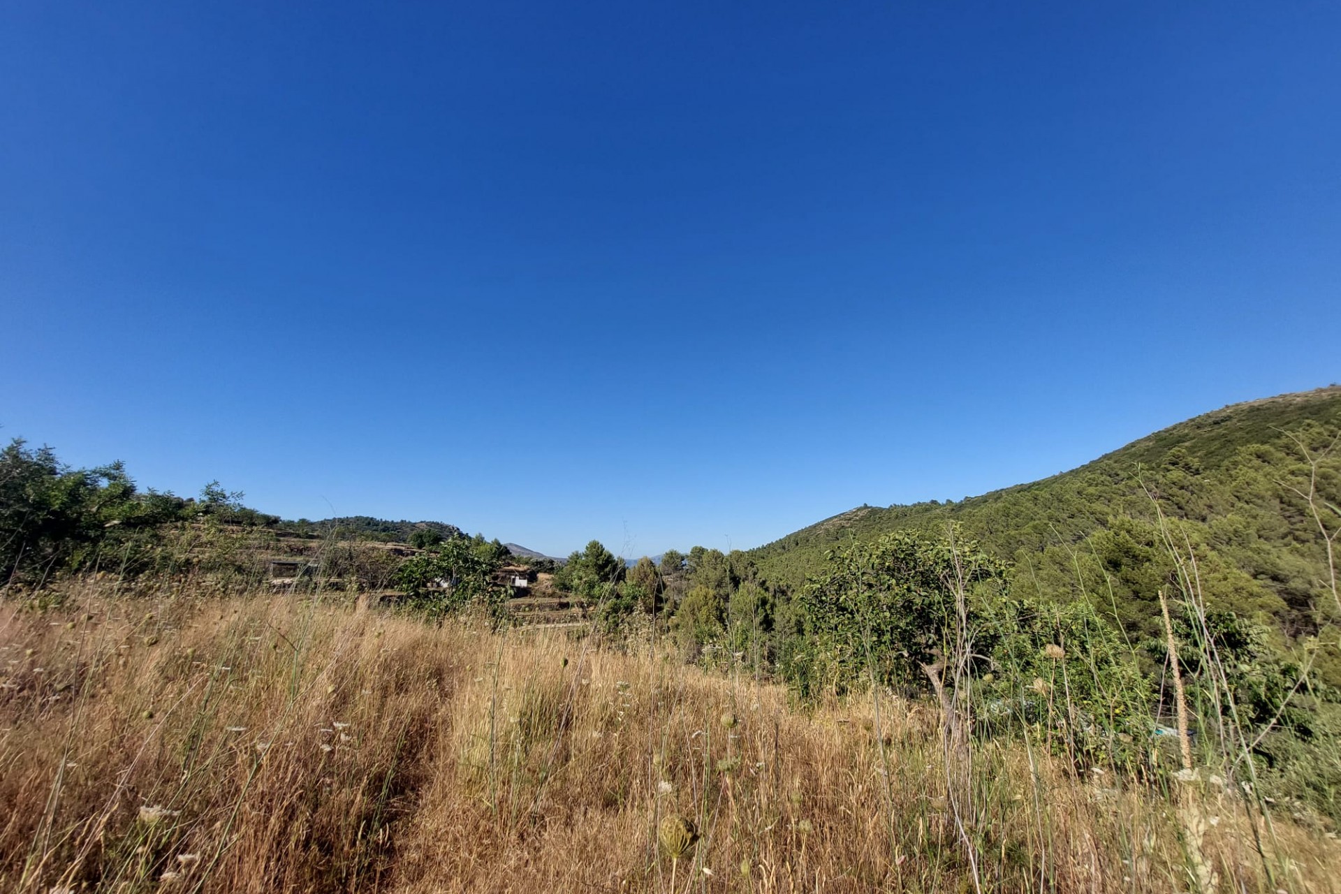 Zu verkaufen - Grundstück/Land -
Jalon