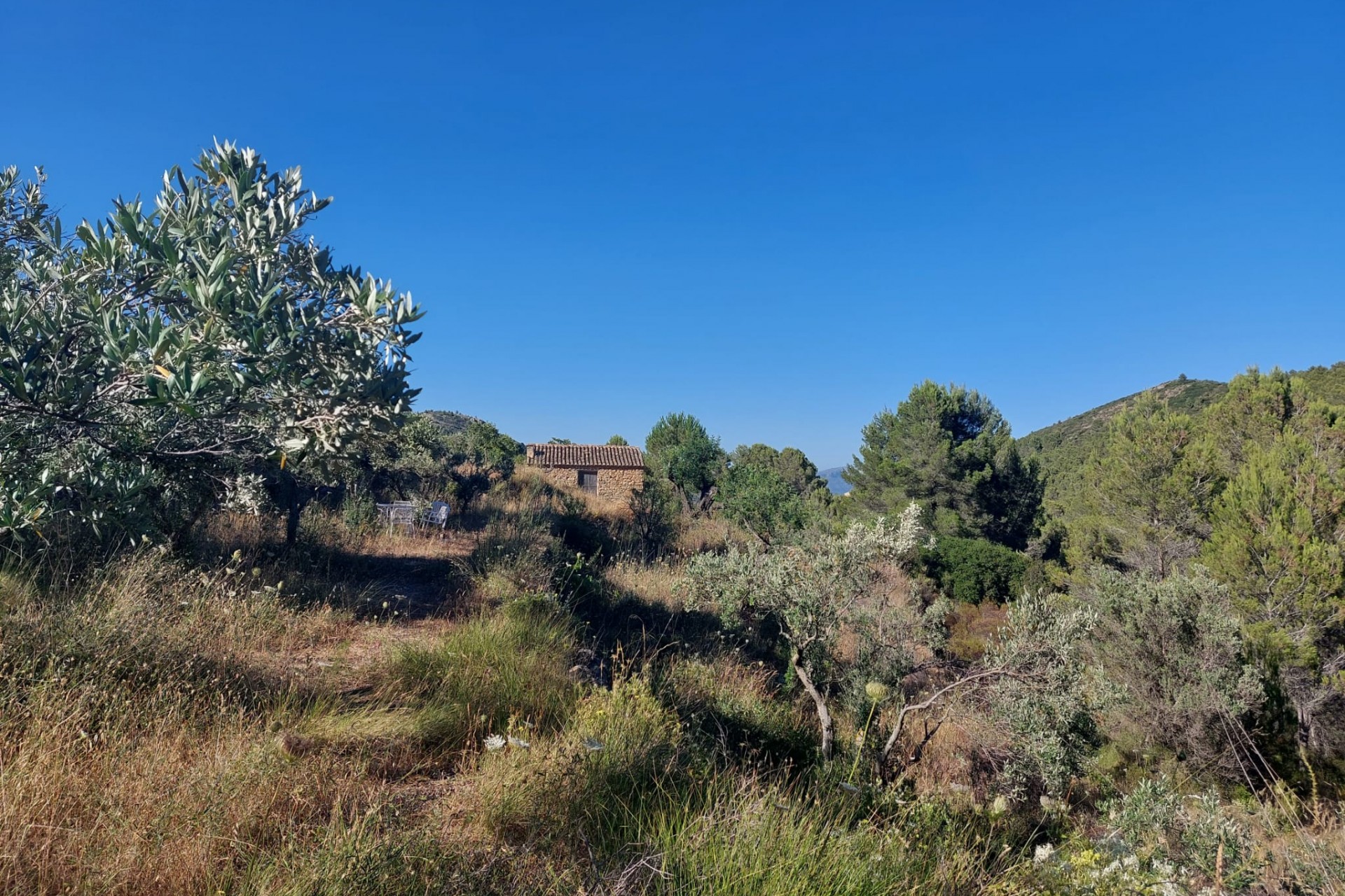 Zu verkaufen - Grundstück/Land -
Jalon
