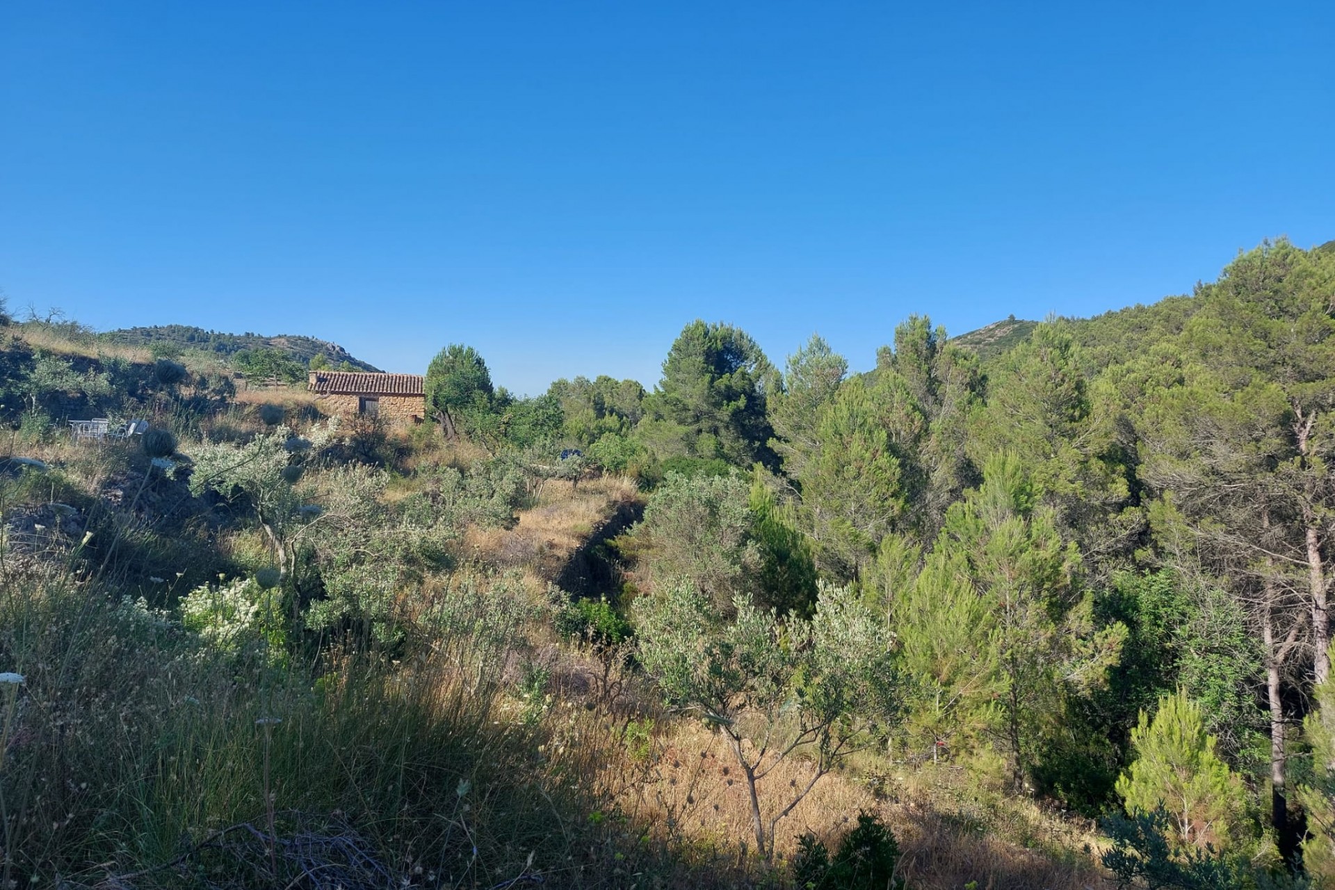 Zu verkaufen - Grundstück/Land -
Jalon