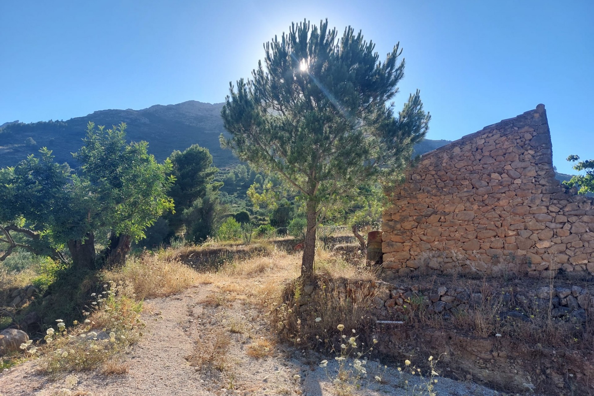 Zu verkaufen - Grundstück/Land -
Jalon