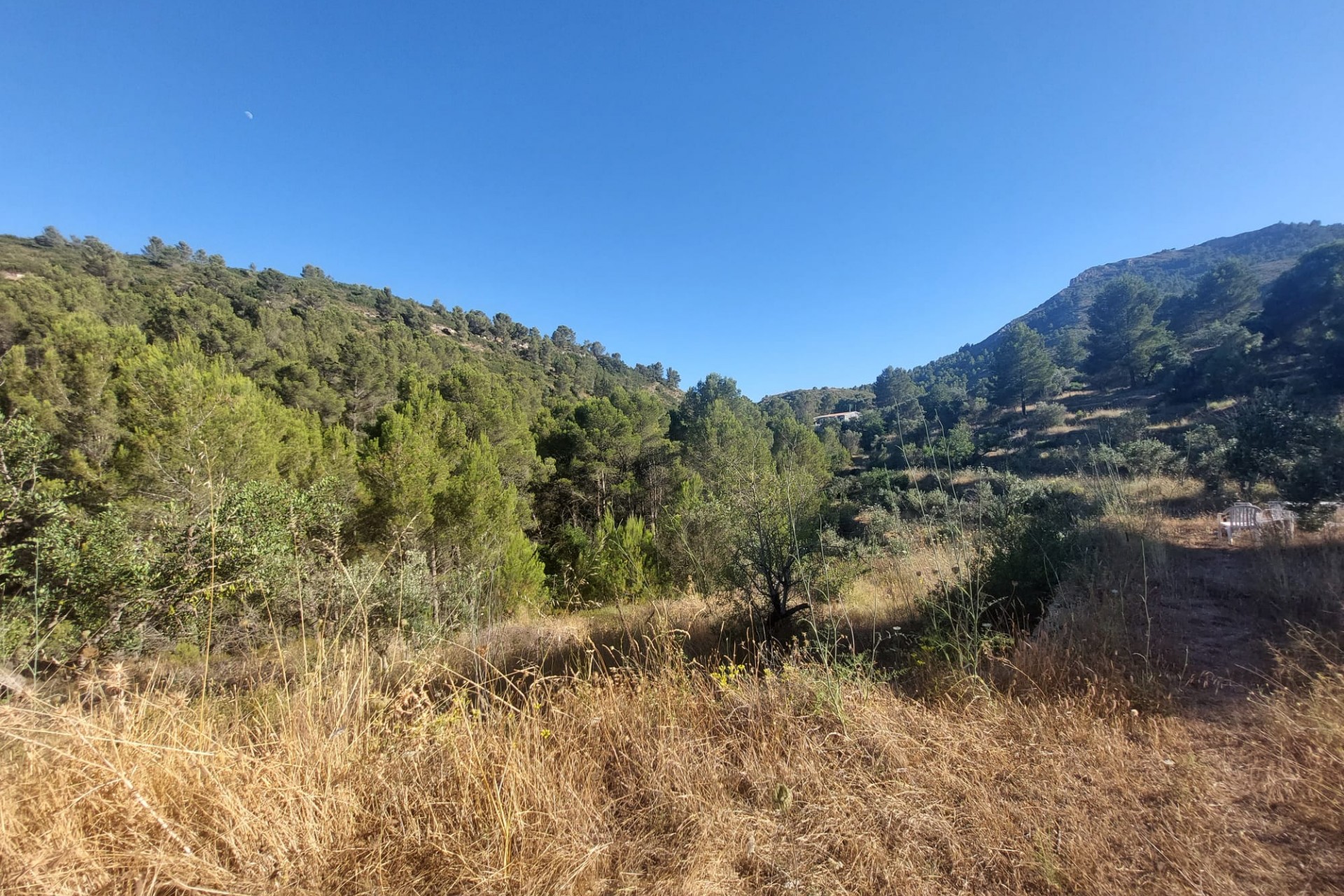 Zu verkaufen - Grundstück/Land -
Jalon