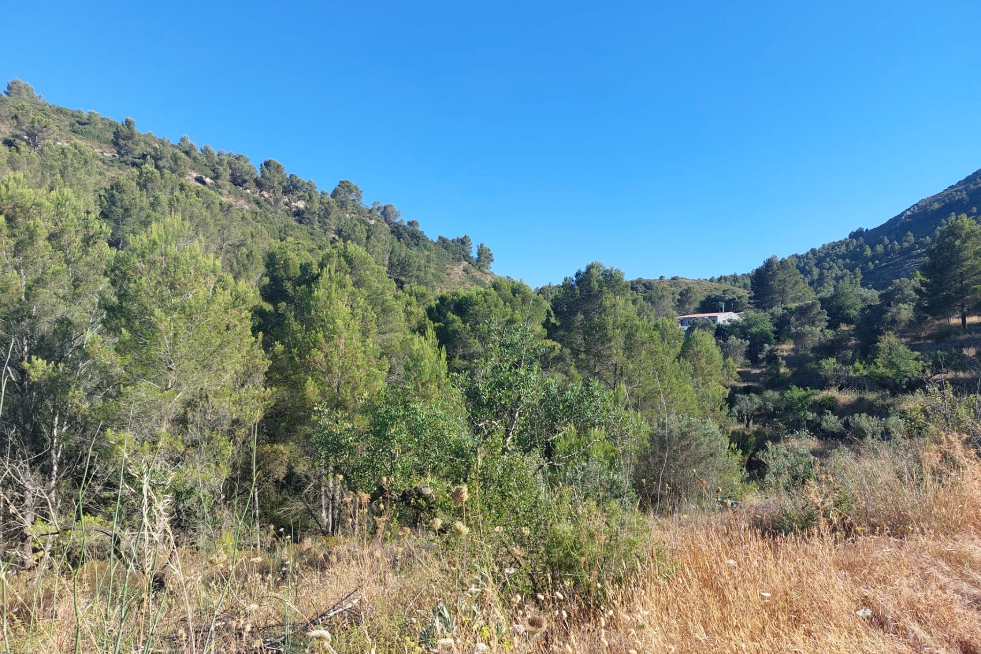 Zu verkaufen - Grundstück/Land -
Jalon