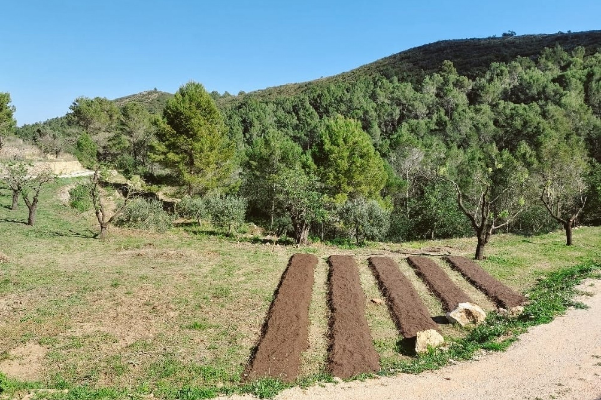 Zu verkaufen - Grundstück/Land -
Jalon