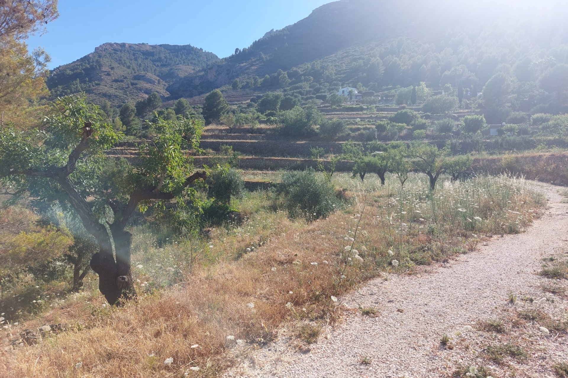 Zu verkaufen - Grundstück/Land -
Jalon