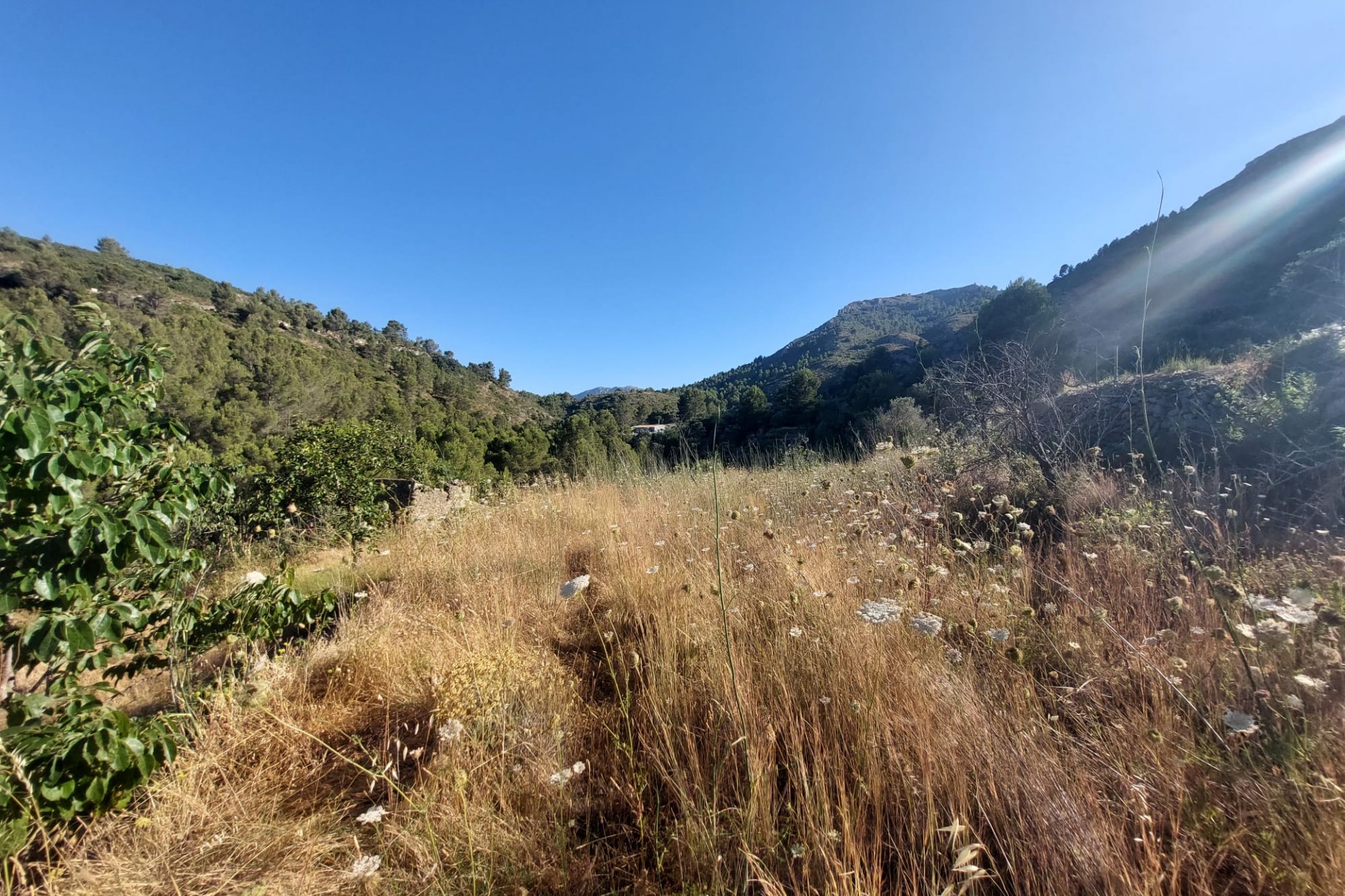 Zu verkaufen - Grundstück/Land -
Jalon