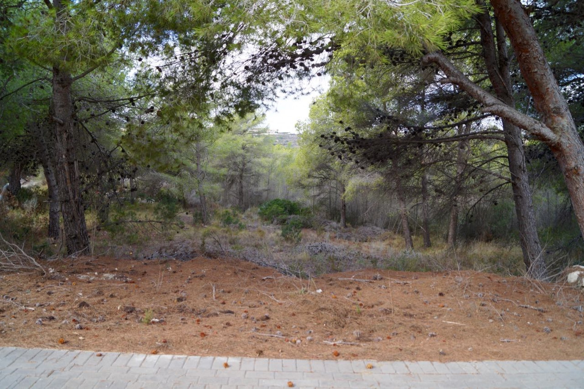 Zu verkaufen - Grundstück/Land -
Moraira - Benimeit