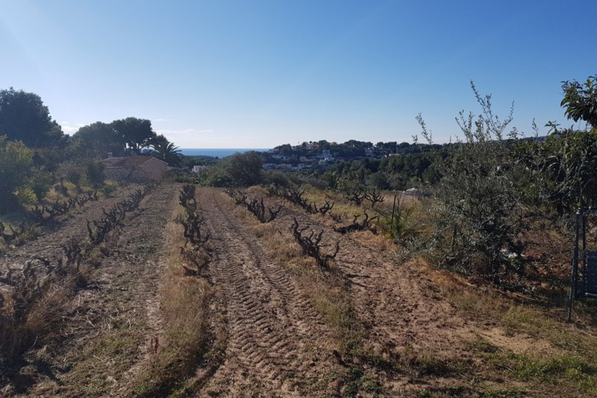 Zu verkaufen - Grundstück/Land -
Moraira - Sabatera