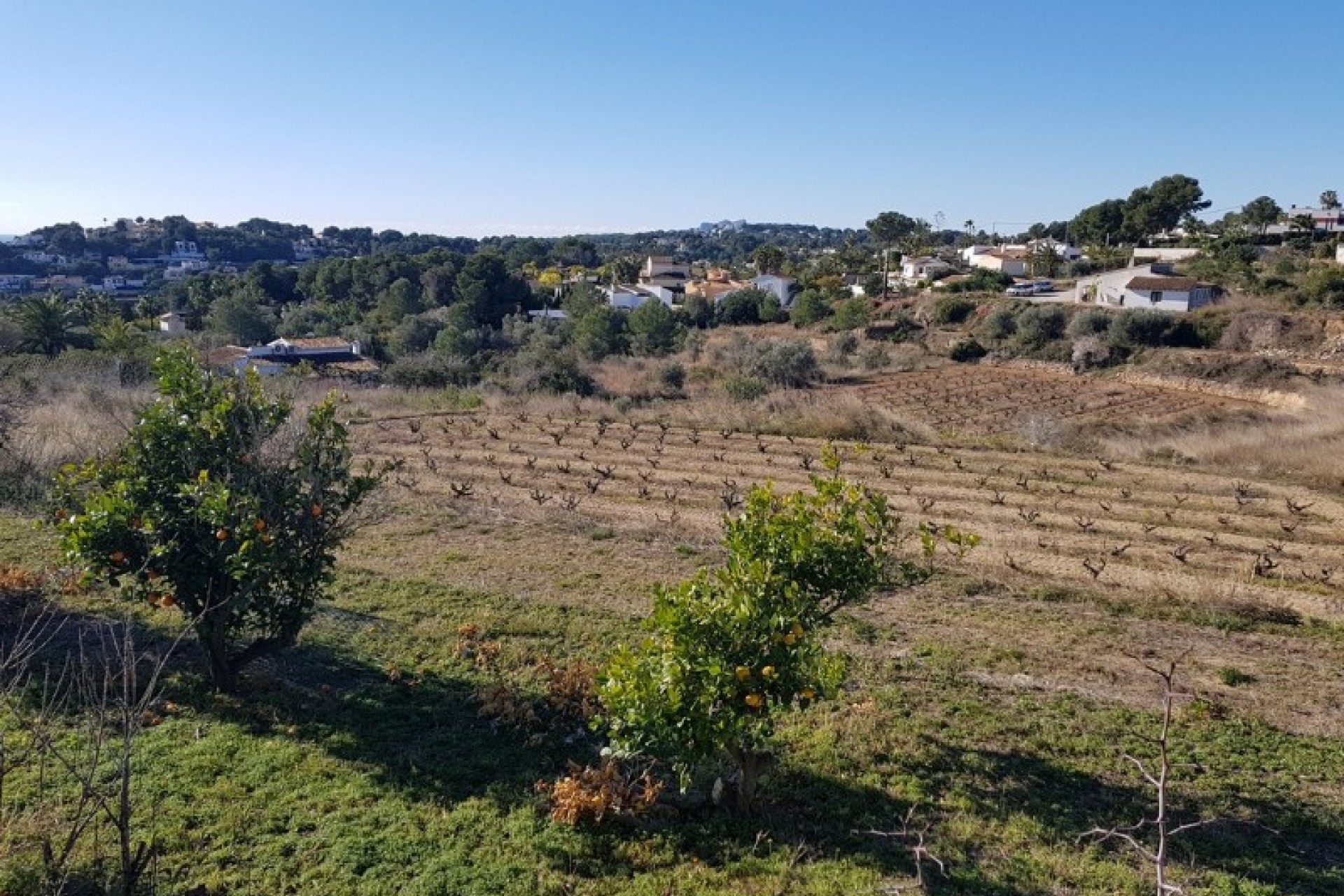 Zu verkaufen - Grundstück/Land -
Moraira - Sabatera
