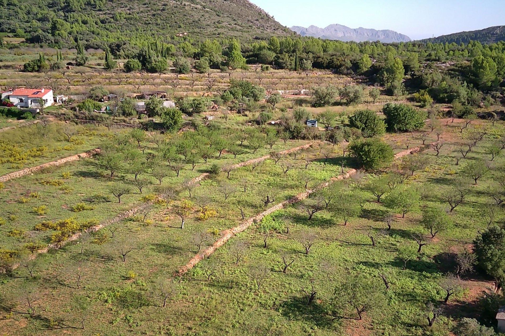 Zu verkaufen - Grundstück/Land -
Murla
