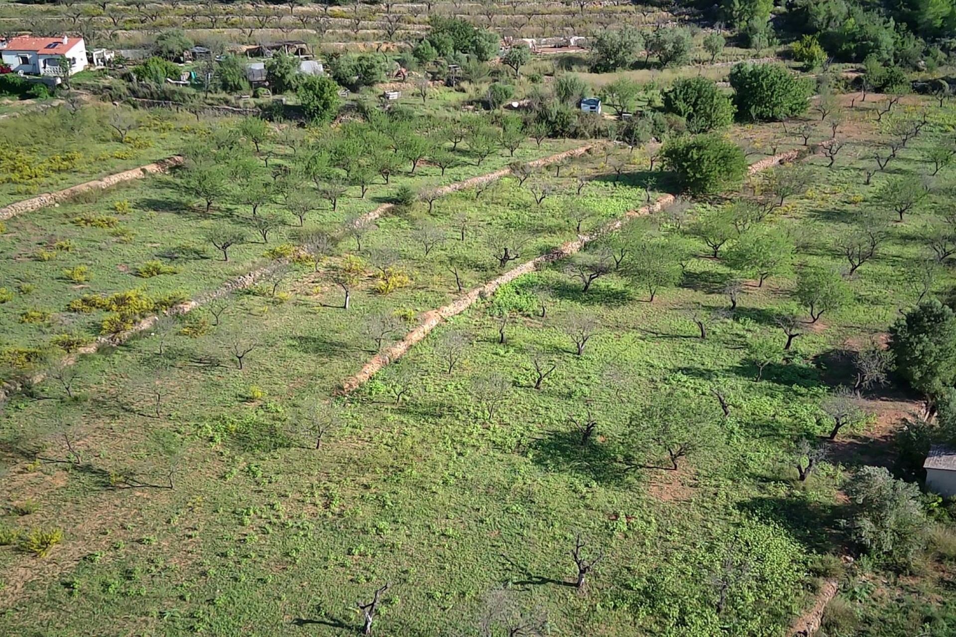 Zu verkaufen - Grundstück/Land -
Murla