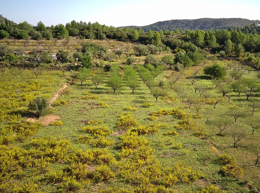 Zu verkaufen - Grundstück/Land -
Murla