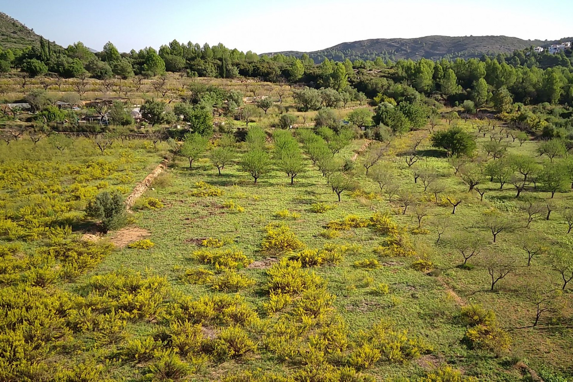 Zu verkaufen - Grundstück/Land -
Murla