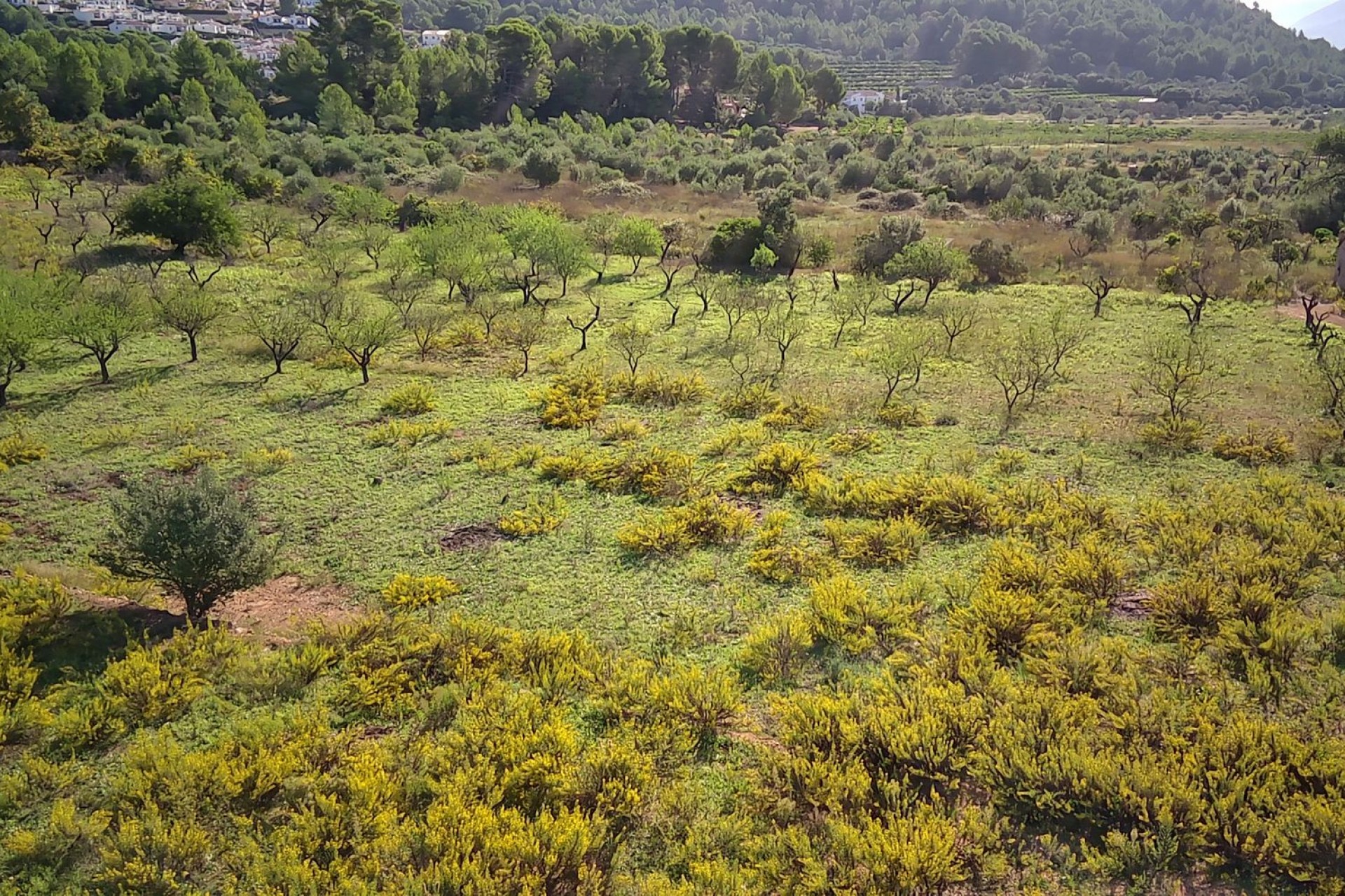 Zu verkaufen - Grundstück/Land -
Murla