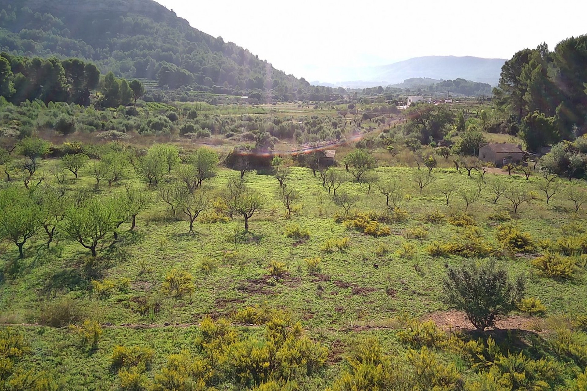 Zu verkaufen - Grundstück/Land -
Murla