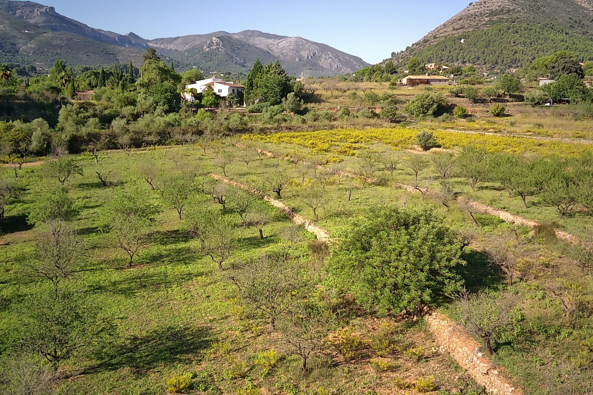 Zu verkaufen - Grundstück/Land -
Murla