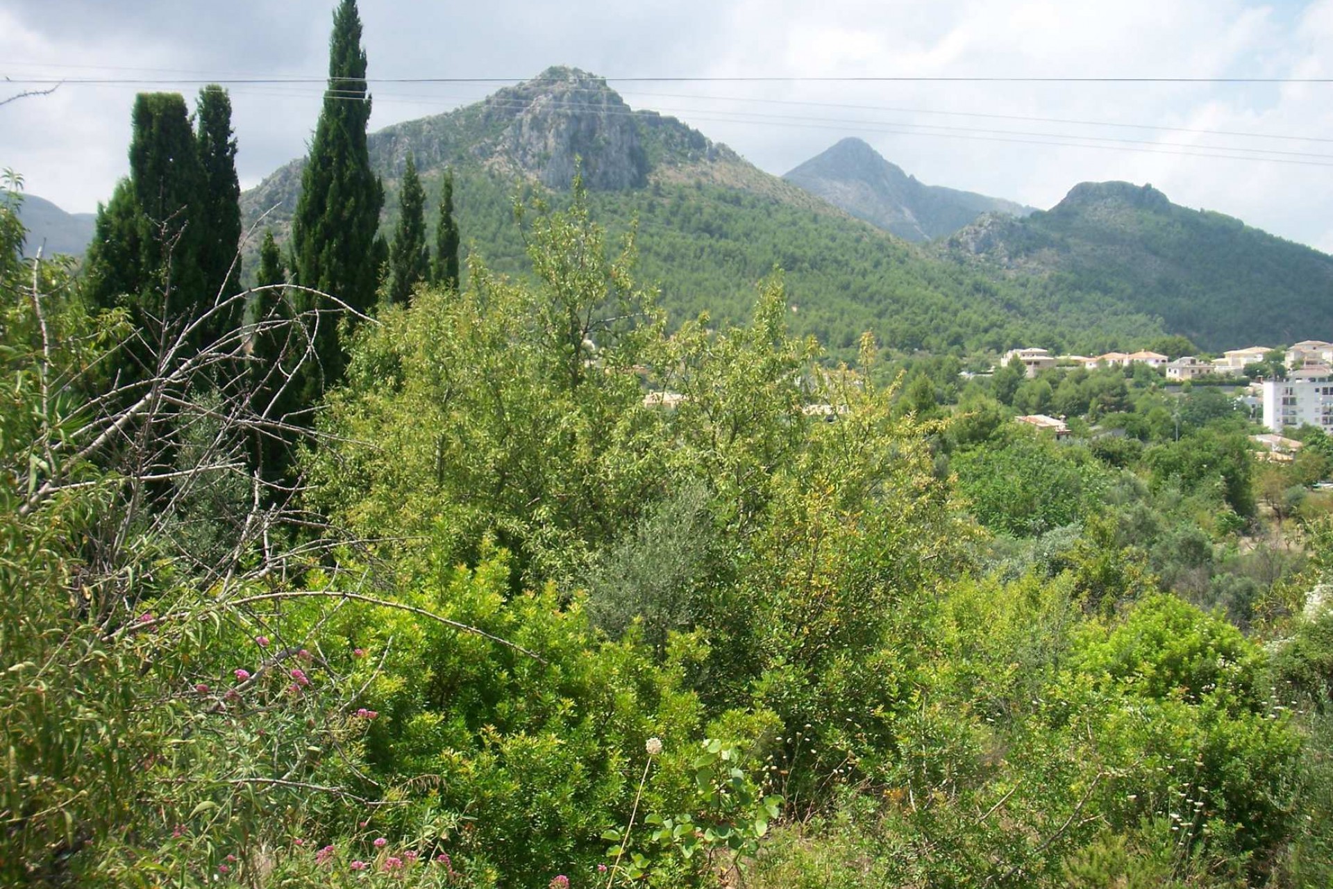 Zu verkaufen - Grundstück/Land -
Orba