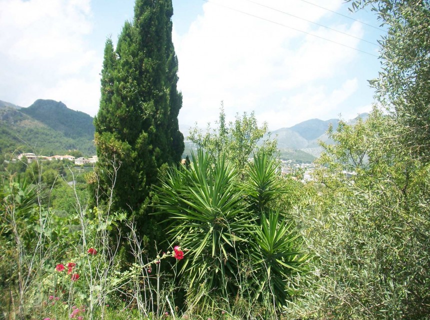Zu verkaufen - Grundstück/Land -
Orba