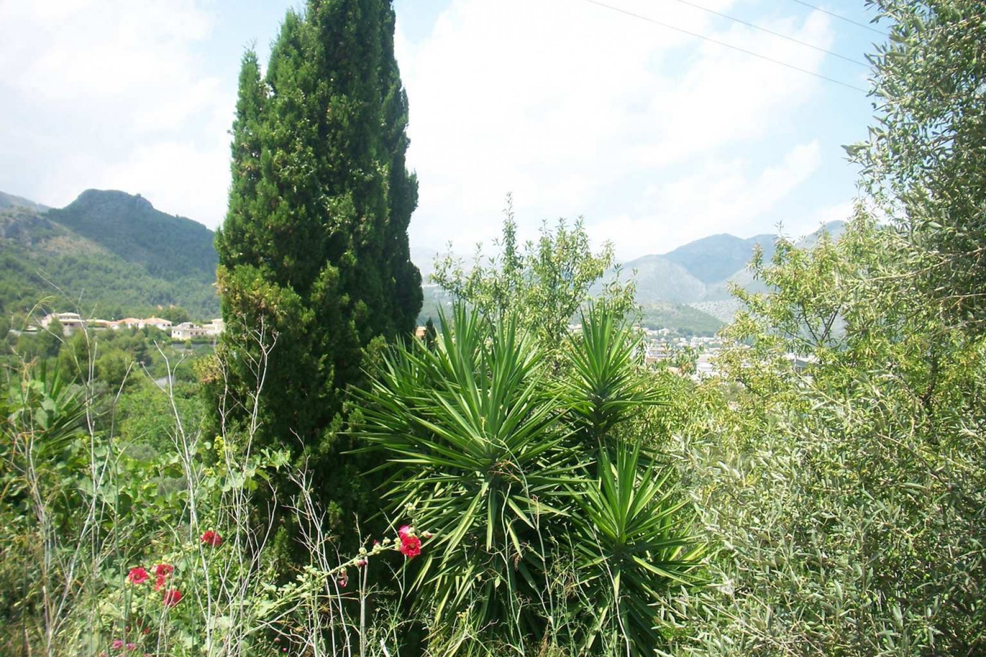 Zu verkaufen - Grundstück/Land -
Orba