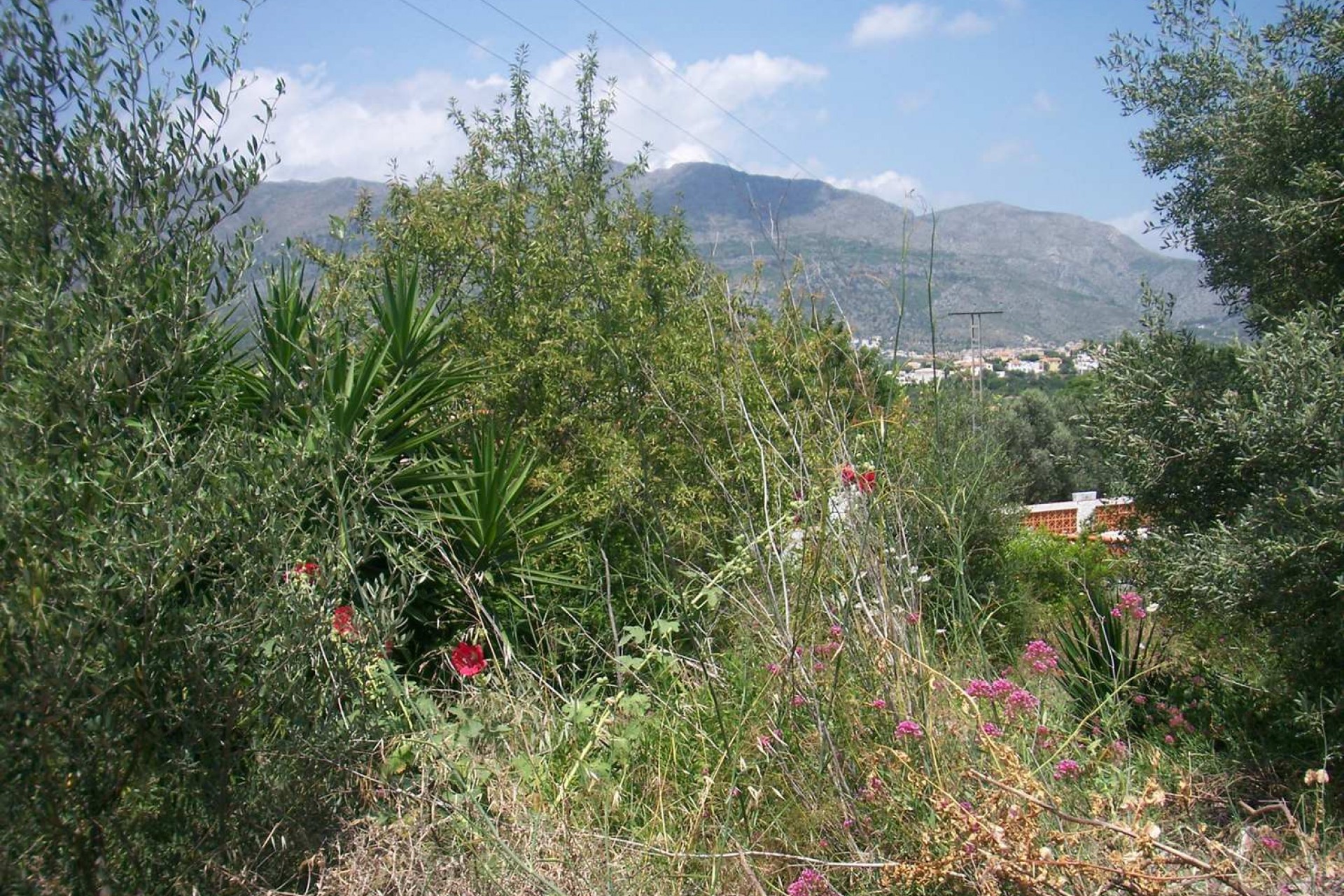 Zu verkaufen - Grundstück/Land -
Orba