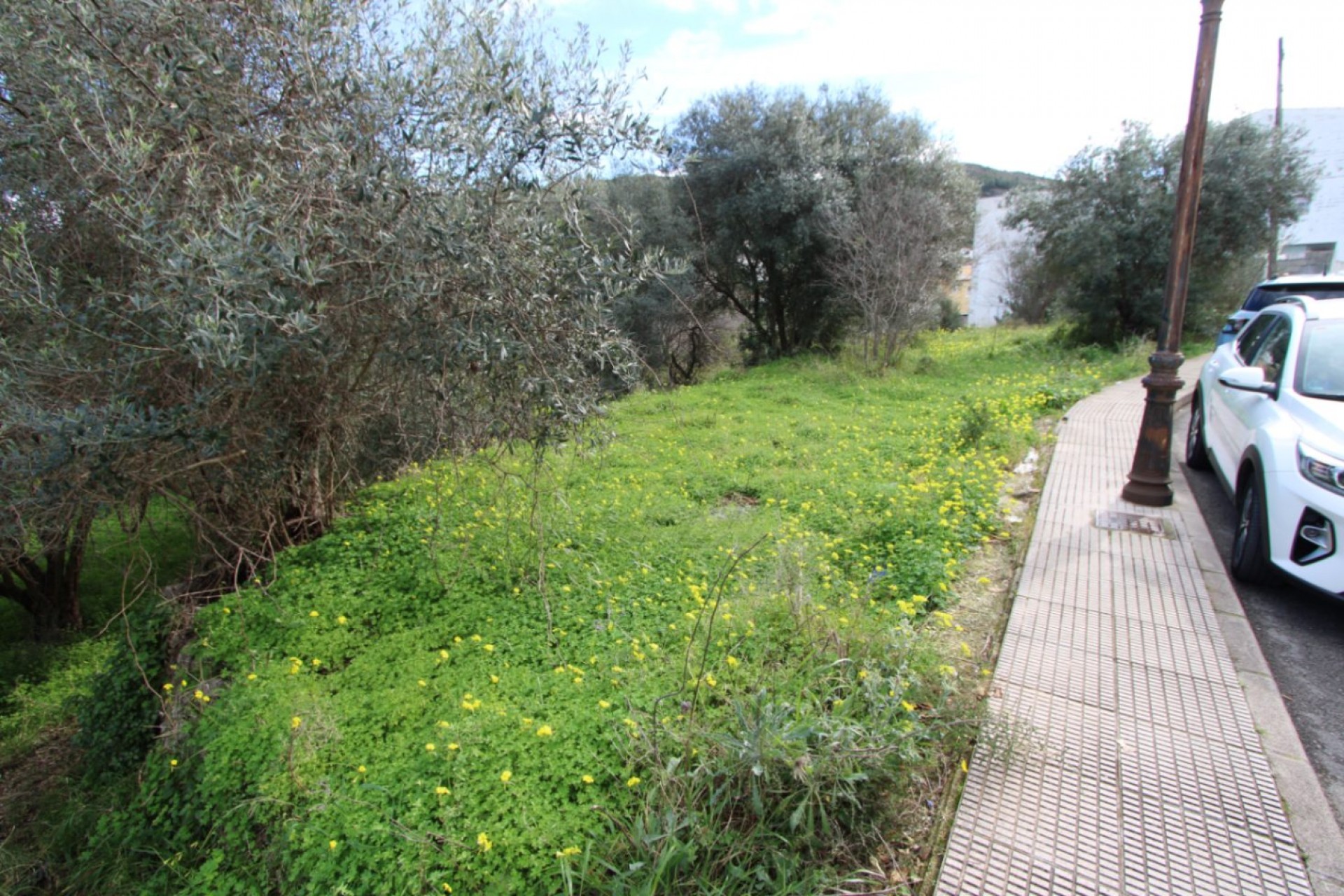 Zu verkaufen - Grundstück/Land -
Orba