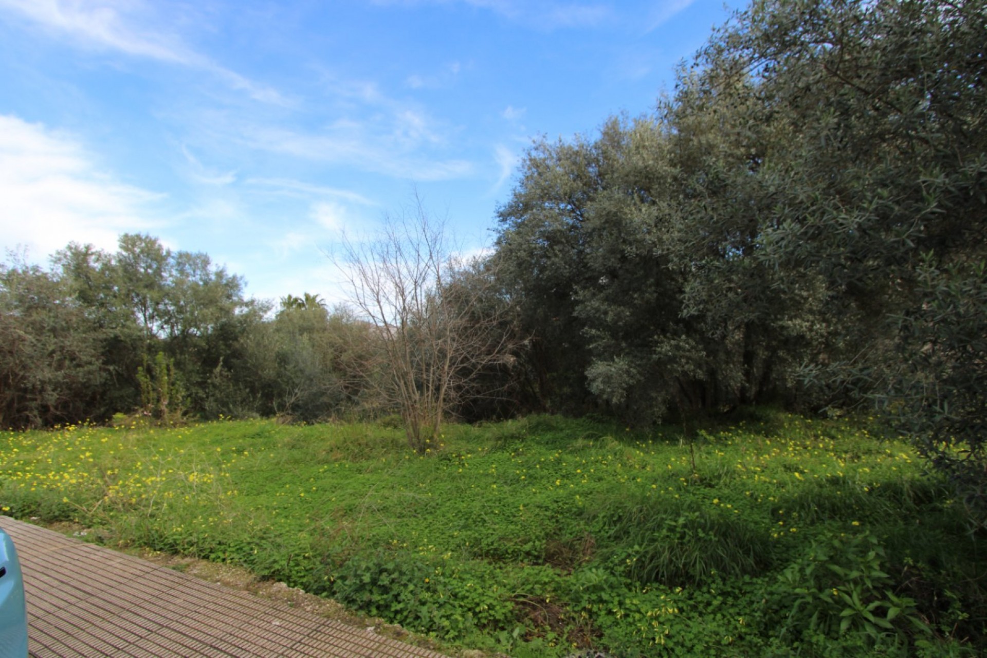 Zu verkaufen - Grundstück/Land -
Orba