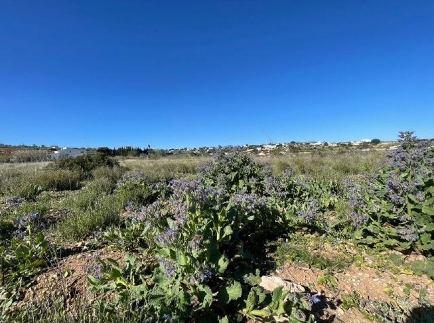 Zu verkaufen - Grundstück/Land -
Teulada