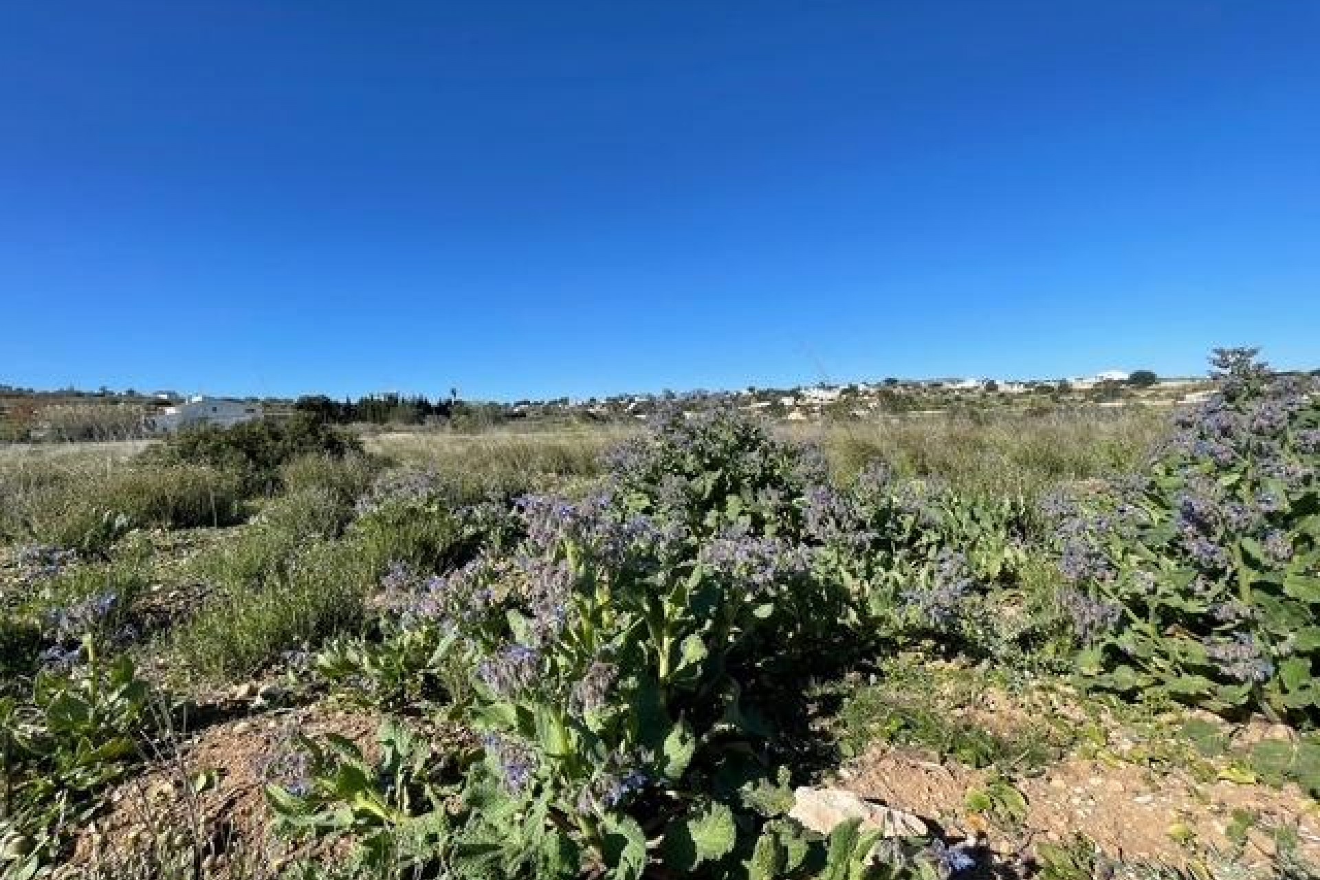 Zu verkaufen - Grundstück/Land -
Teulada