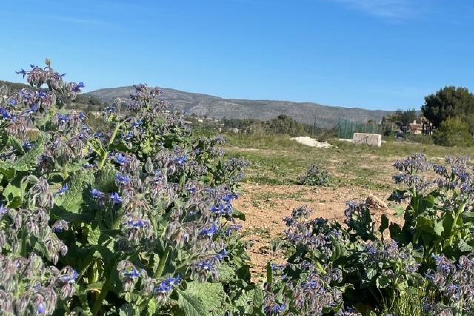 Zu verkaufen - Grundstück/Land -
Teulada