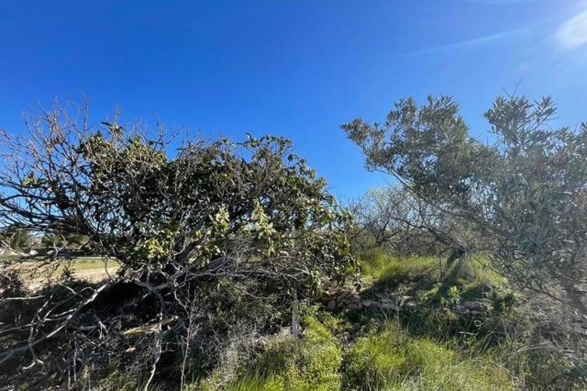Zu verkaufen - Grundstück/Land -
Teulada