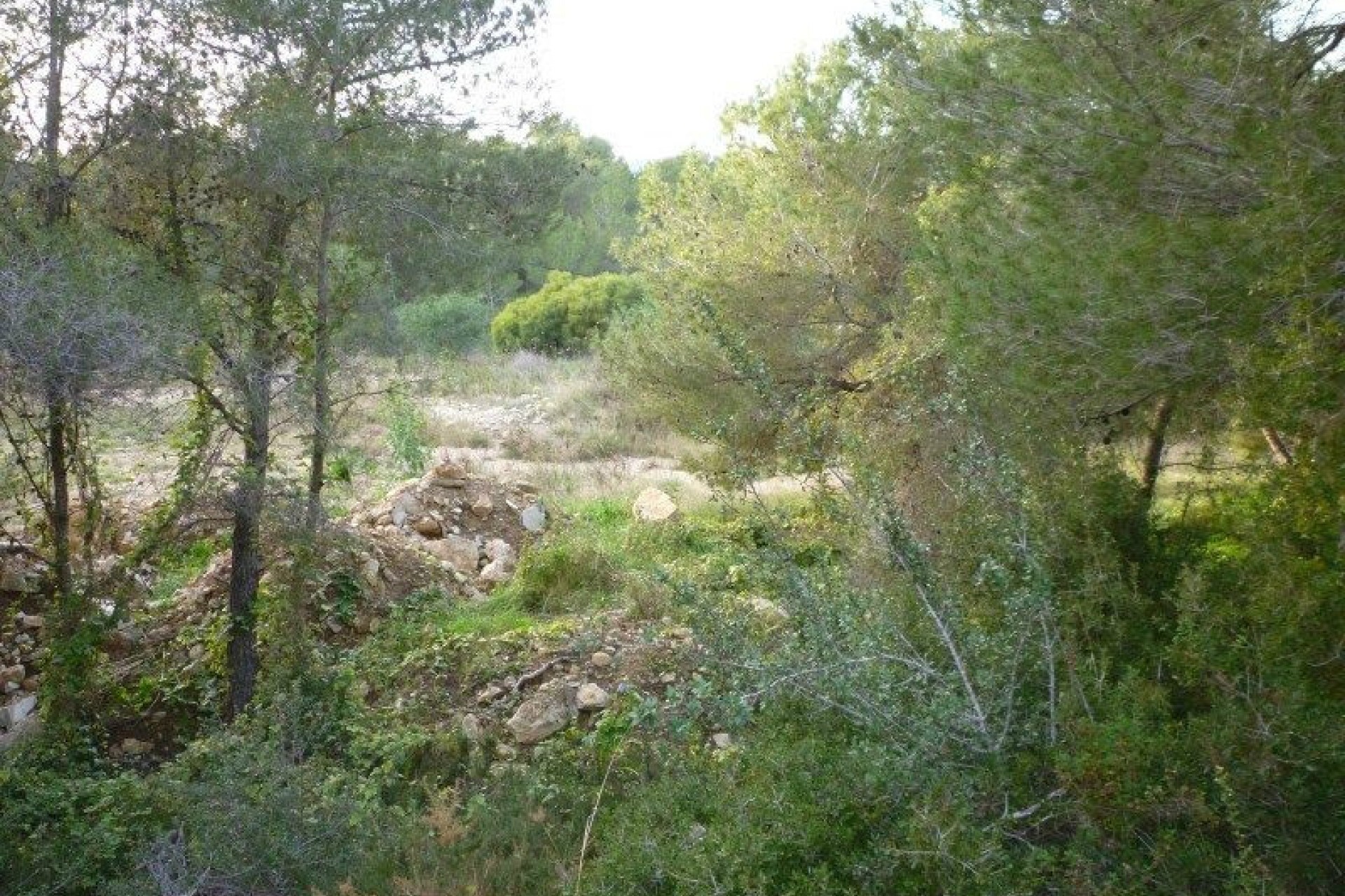 Zu verkaufen - Grundstücke -
Moraira - Arnella