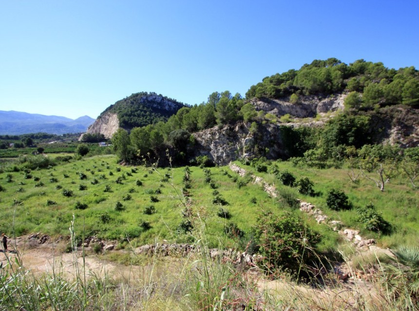 Zu verkaufen - Grundstücke -
Pego