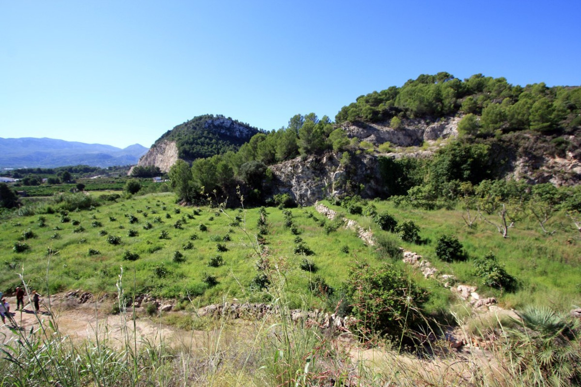 Zu verkaufen - Grundstücke -
Pego