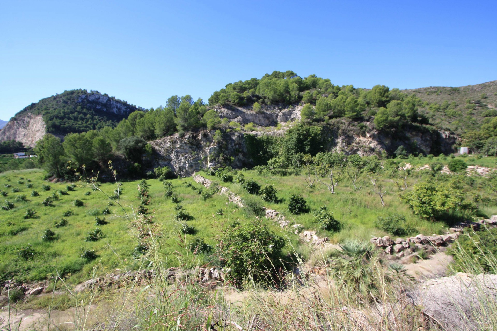 Zu verkaufen - Grundstücke -
Pego