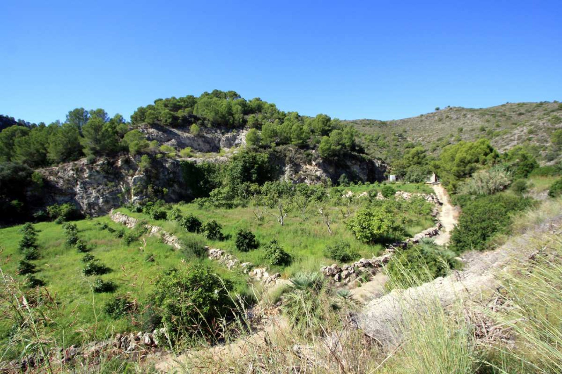 Zu verkaufen - Grundstücke -
Pego