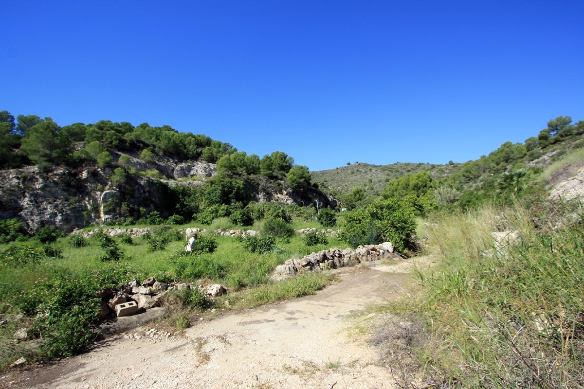 Zu verkaufen - Grundstücke -
Pego